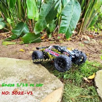 Enoze 302E brushless high speed rc car