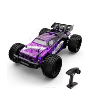 Enoze 206E 1:10 Scale Brushless 4X4 All Terrain Remote Control Car For Adults And Kid